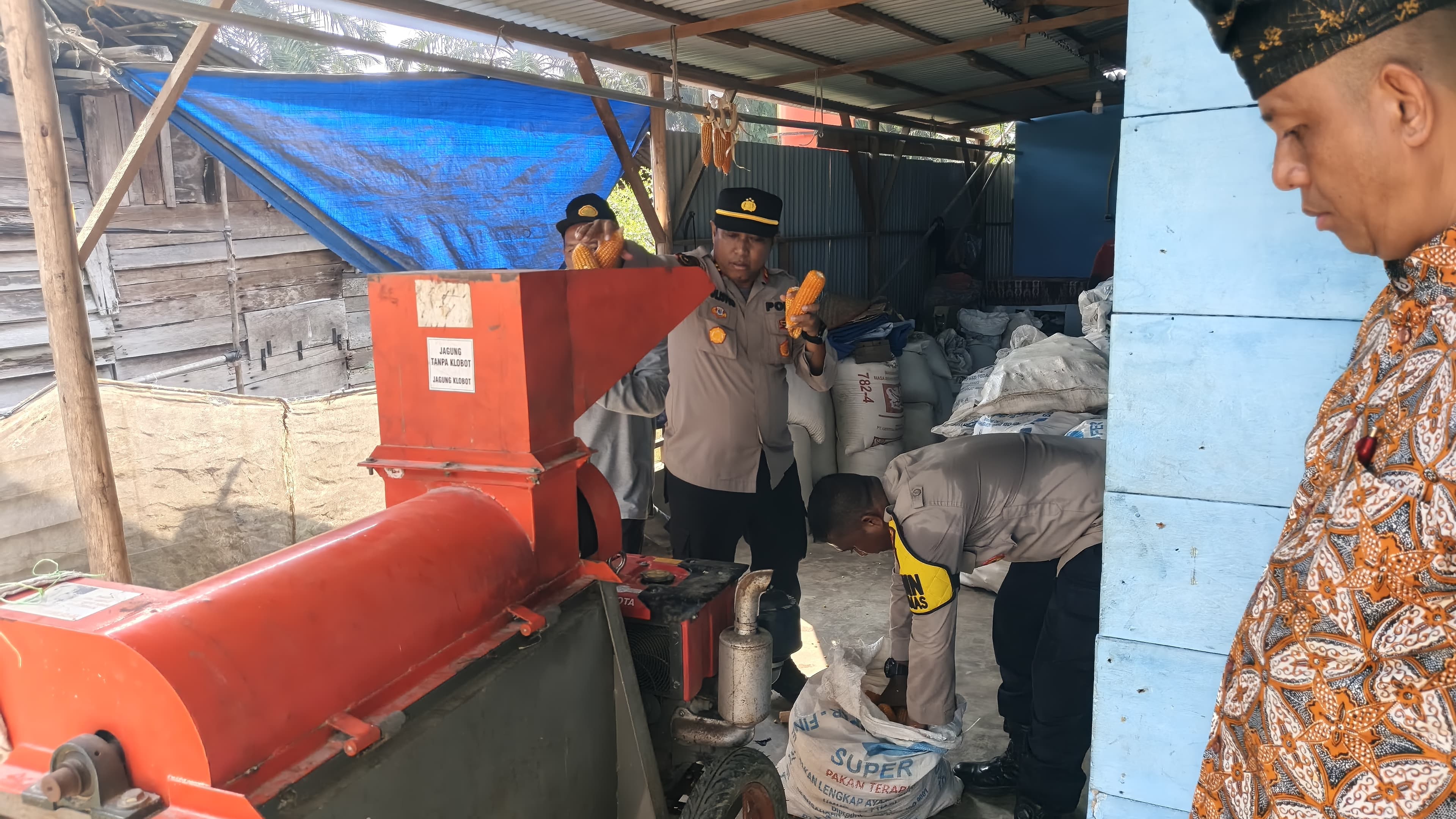 POLSEK PERHENTIAN RAJA HADIR SAAT PEMIPILAN JAGUNG – POKTAN BERKARYA DESA PANTAI RAJA TARGETKAN 2 TON HASIL