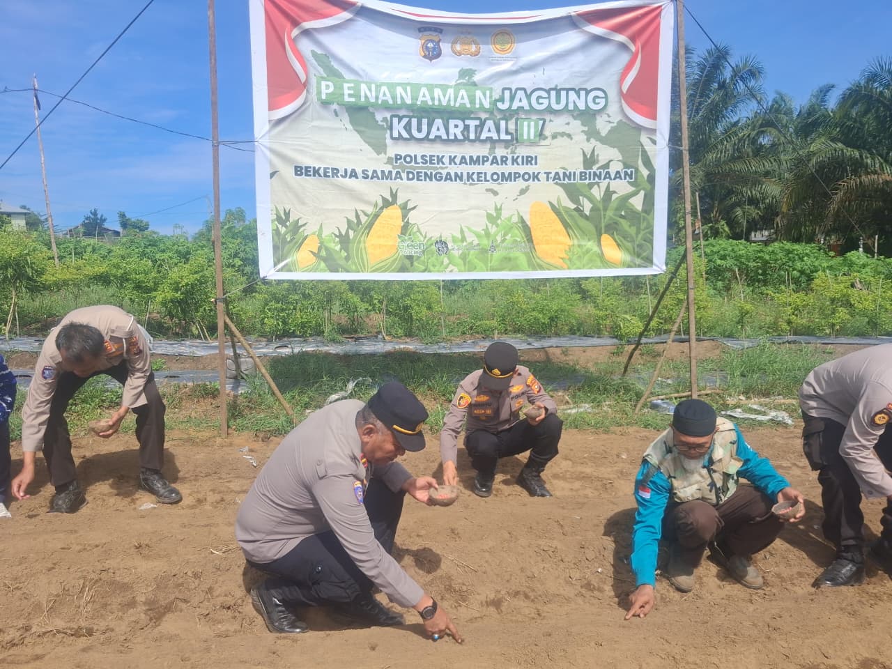 Polsek Kampar Kiri Gandeng Kompleks Pesantren Dan Poktan – Tanami 1 Ha Jagung Pipil Lamuru, Dukung Ketahtanan Pangan