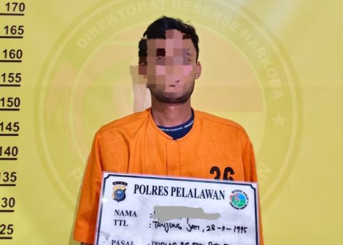 Satresnarkoba Polres Pelalawan Gerebek Rumah di Pangkalan Kerinci, 58 Paket Ganja Siap Edar Diamankan ﻿