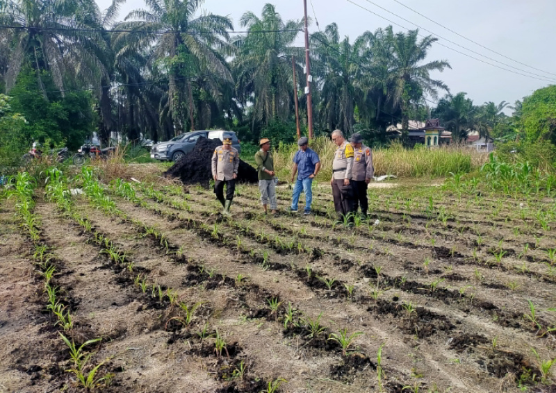 Penanaman, Kompol Herman Pelani: Pengolahan Lahan Menjadi Tahapan yang Penting