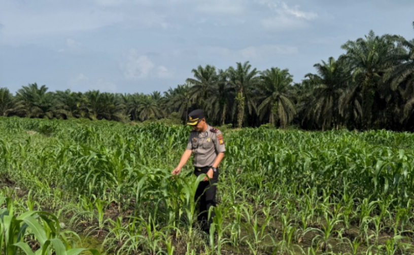 Kapolsek Kandis Maknai Semangat Merah Putih, Merajut Persatuan, Menjaga Ketahanan Pangan