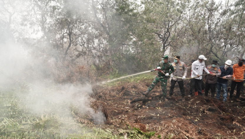 Kapolda Riau dan Pangdam Bergabung dengan Personel Padamkan Api Karhutla di Pelalawan