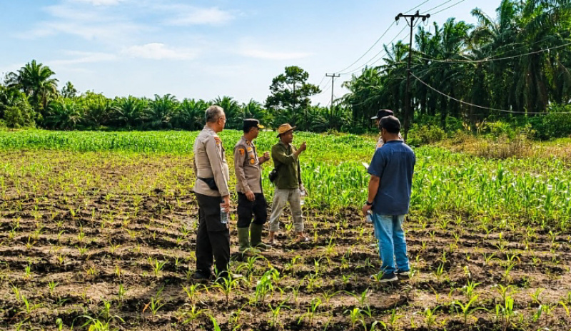 Polsek Kandis Wujudkan Kampung Jambai Makmur sebagai Sumber Ketahanan Pangan