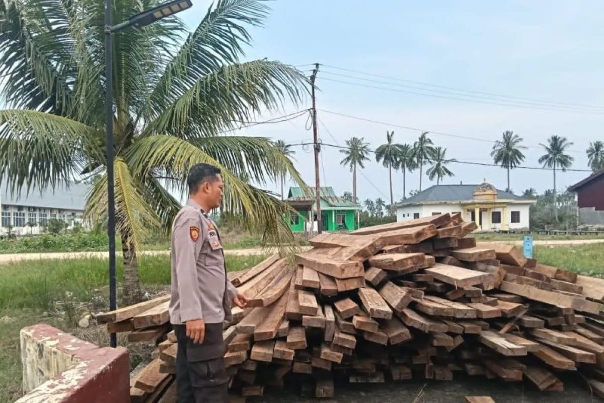 Polisi Bongkar Dugaan Kayu Ilegal di Rohil, 10 Ton Barang Bukti Diamankan