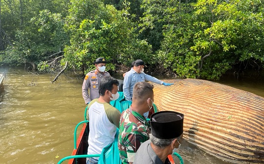     Tim KKP dan Polres Inhil Evakuasi Diduga Bangkai Paus di Perairan Sungai Bahale Mandah Kabupatrn Inhil